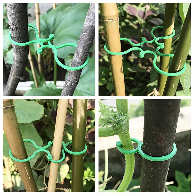 Garden Vine Strapping Clips