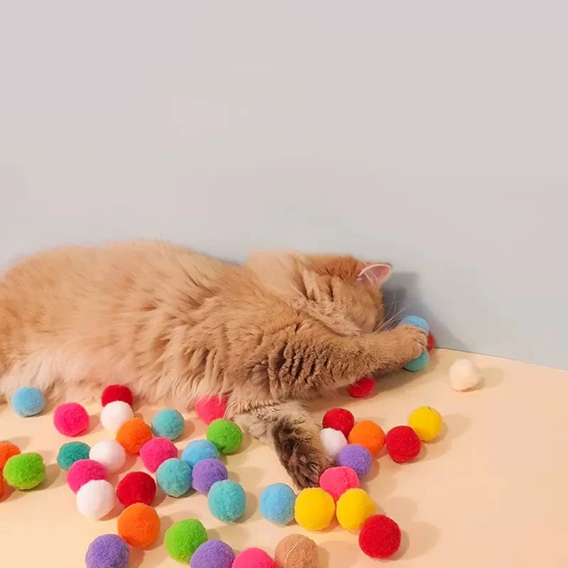 Interactive Cat Toy Set